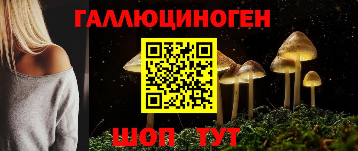 Губкинский  Псилоцибиновые грибы Cubensis  Вход с VPN 