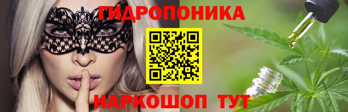 Бошки Шишки Bruce Banner Губкинский